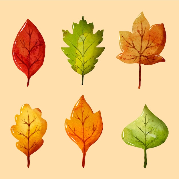 Les tendances peinture 2025 pour votre intérieur